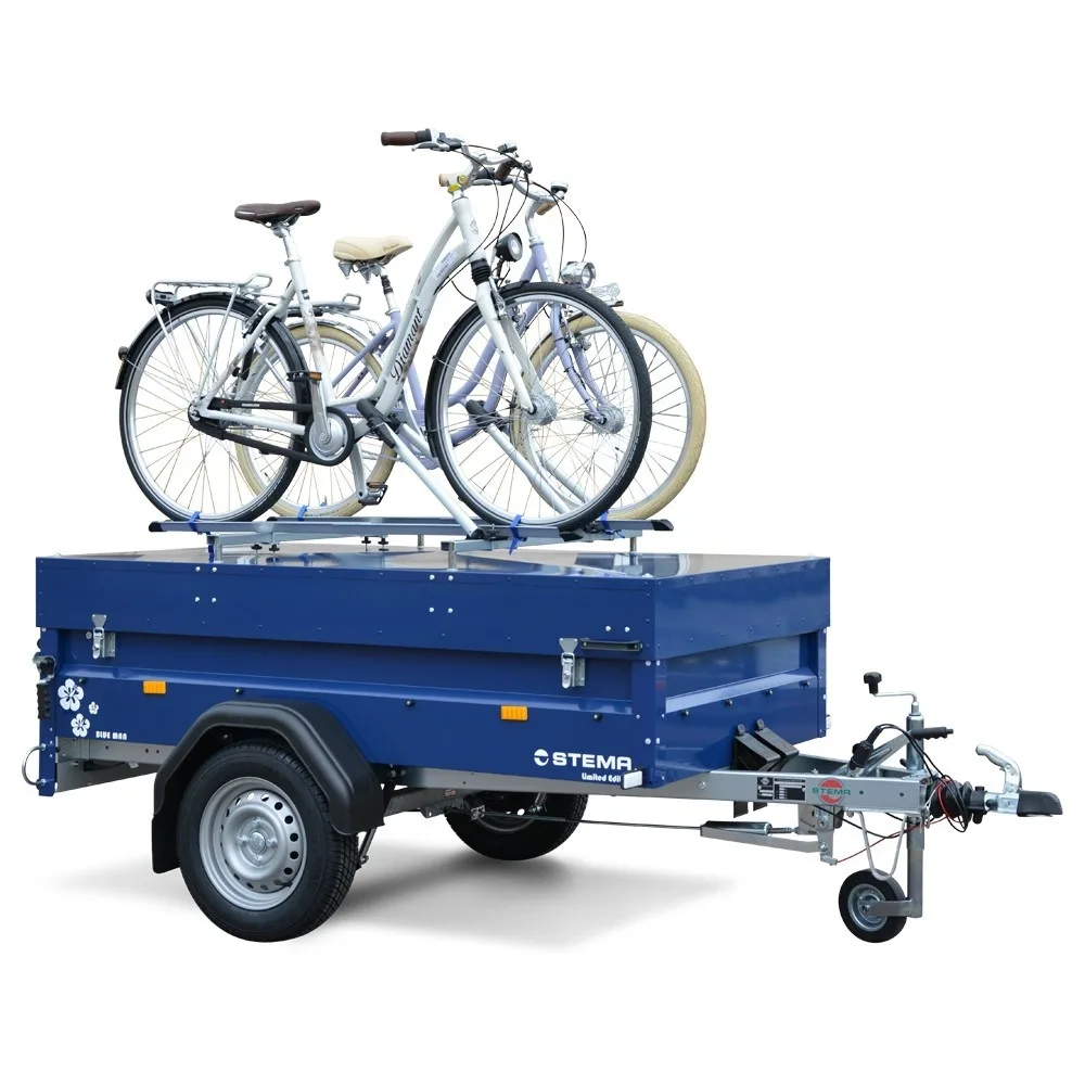 FT Blau mit Fahrradträger