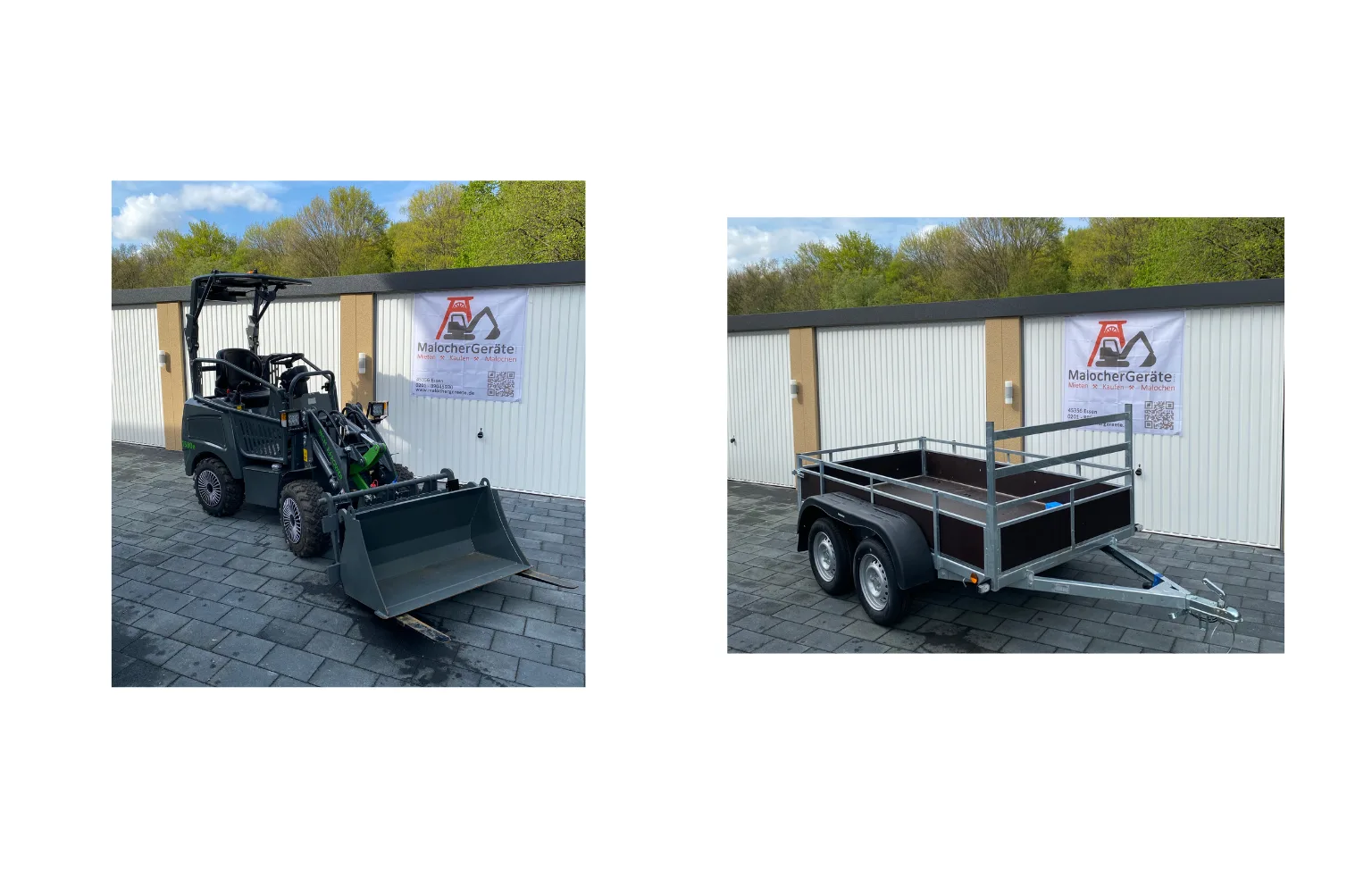 Schnapper - Einzelstücke